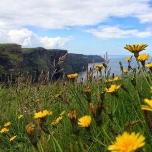 Meet your Posher, Maureen